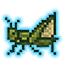 バッタ