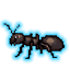 蟻