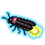 蛍
