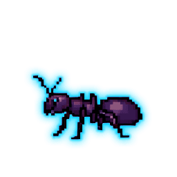 蟻
